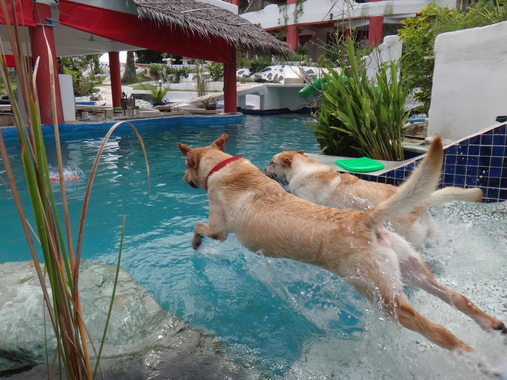 Mirabel Club Resort Jomtien Beach Zewnętrze zdjęcie
